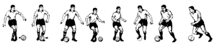 江西小学教师资格考试